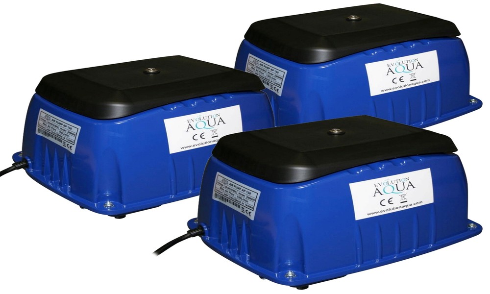 Pond Aeration – The Secret to a Thriving Ecosystem